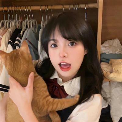 追凶记